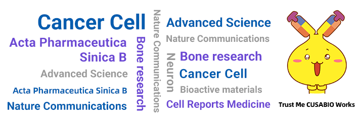 CUSABIO季度高分文獻(xiàn)盤點(diǎn)