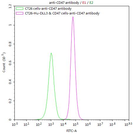CSB-RA004940MA1HU FC-1