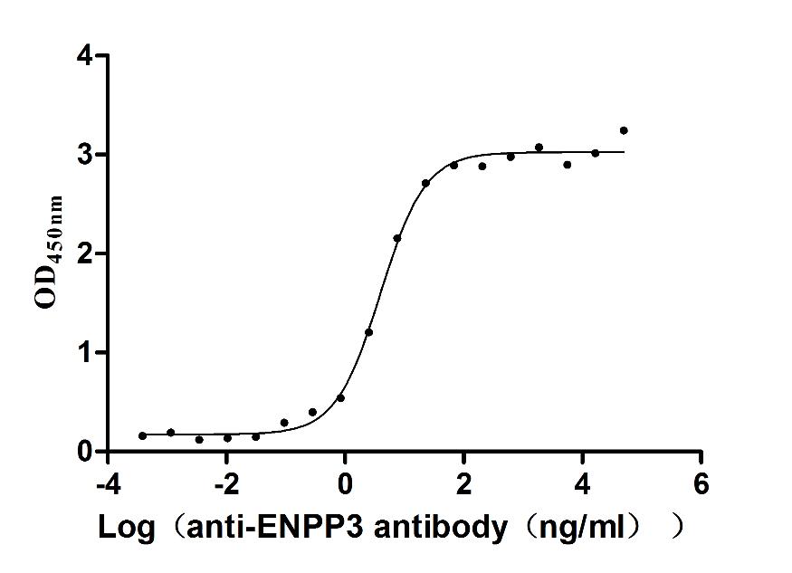 CSB-RA007681MA1HU ELISA