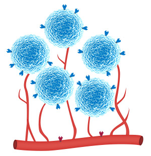 ADC靶抗原蛋白產品及定制服務